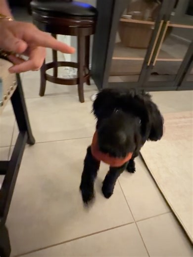 Page Turner on Reels