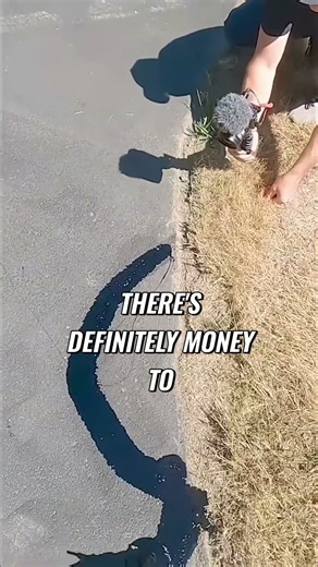 How Much Money Can You Make With A Seal Coating Business?