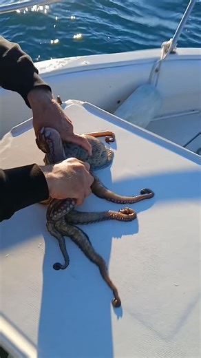 Patrick Lentini on Reels