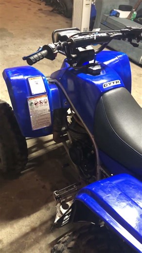 New project 1999 Yamaha blaster