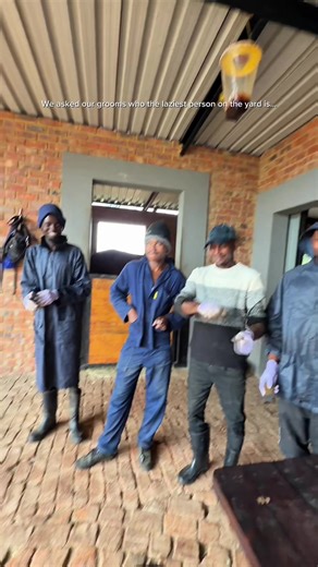 Laziest Person on the Yard: Equestrian Insights