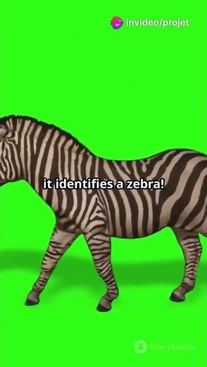 Zero-Shot Image Classification Explained in 60 Seconds!