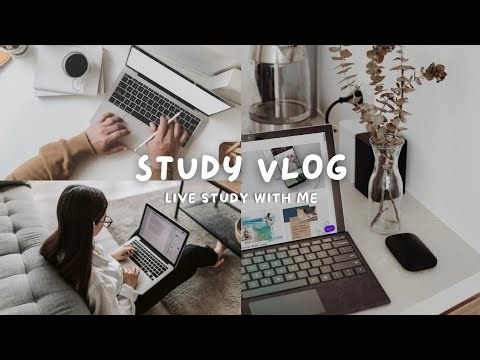 JOURNEY OF A STENOGRAPHER is live study with me