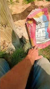 replacing a rotted deck support post