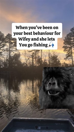 Top Fishing Memes That Will Make You Laugh