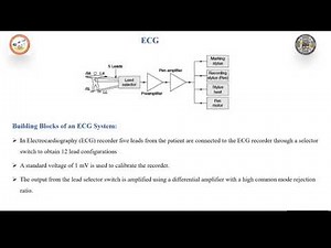 Null balance Recorders and Working of ECG