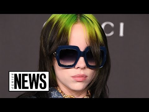 Billie Eilish’s “everything I wanted” Explained | Song Stories