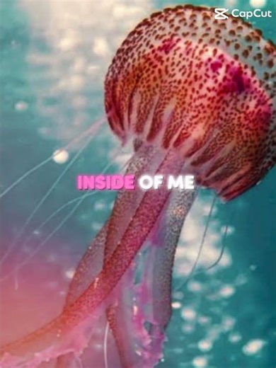 Faded lyrics~#capcut #edit