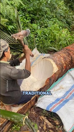 How Sago Flour Is Made by Hand