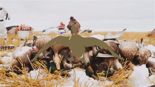 Pitboss Outdoors on Instagram: "What a ride 2025 was one for the books, memories were made and curve balls were overcome. New holes were discovered and old ones were brought back to life. One list complete but the next one begins. The journey continues"