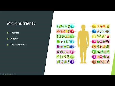 Basic Nutrition Concepts