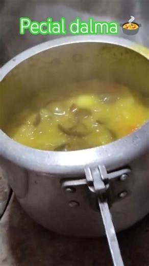 #pecia dalma🍲👍🍚#minivlog #viral video#