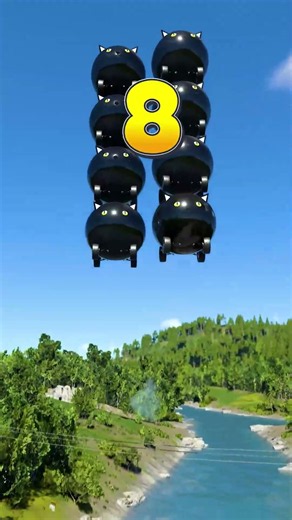 🇺🇸Hey America, Watch The Black Cute Cat Cars Drop in The River With A Whoosh 😱🐱🚗