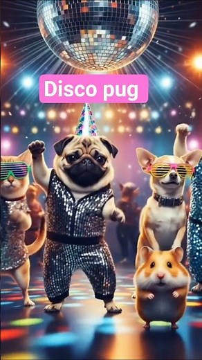 Disco Pug & Friends Dancing – Funny & Cute Animal Dance Party! 🕺🐾