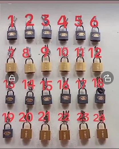 Unique Padlock Collection Displayed by Color and Style