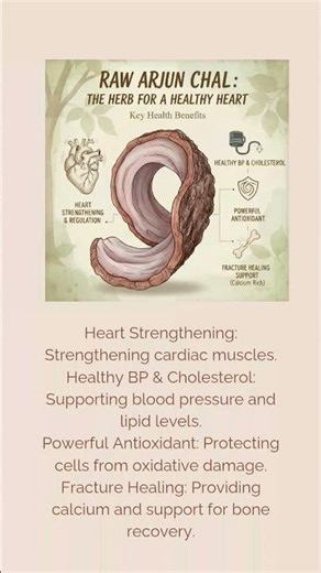 benefits of bark of terminalia arjuna tree #herbsforhealth