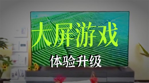 TCL雷鸟电视 85鹏6 PLUS 85英寸 120Hz高刷 MEMC运动补偿 3+64GB内存 家电国家补贴电视85S365C-JN