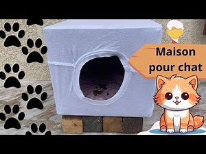 Make a cat house with recycled materials! 🐱🐾