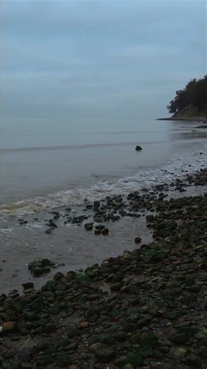 Overcast Morning: Rocky Shoreline Sweep