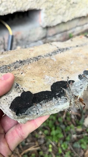 Bridged damp proof course #dpc #damproofing #construction #render