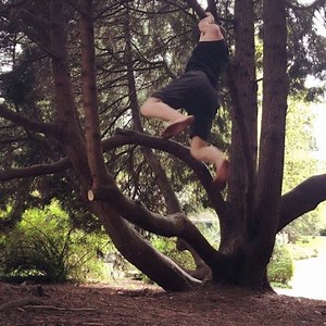 1.1K views · 65 reactions | Normalizing tree climbing for adults. Inspiring the next generation. All in a day’s “work.”  | Uncaged Human | Facebook