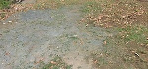 22K views · 2K reactions | I find better fulfillment, I feel true gratitude and experience unconditional love from my rescued dogs and pets. #dog #dogs #pets #dogsofinstagram #dogsoffacebook #rescueddog #petsofinstagram #doglover #petlover #MamasCradleAnimalSanctuary | Mama's Cradle Animal Sanctuary | Facebook