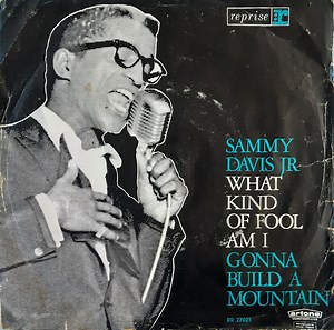 Sammy Davis Jr. - What Kind Of Fool Am I