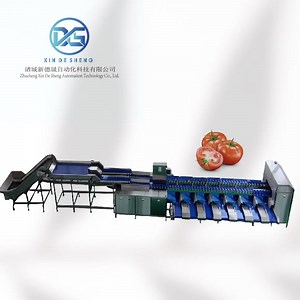 [Hot Item] Dual-Channel Weight Sorting Equipment, Tomato Grading and Classification Machine