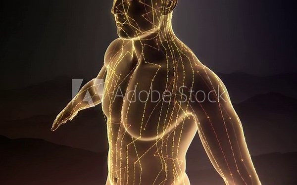 Human acupuncture points, meridian unblocking, acupuncture, traditional Chinese medicine, restoring the energy of the human body's internal organs, 3D animation.
