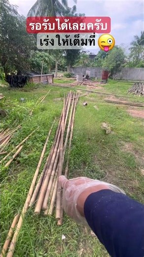 Making a bamboo ladder. The bamboo has arrived, ready to be received! #makingbambooladeck #diy #h...