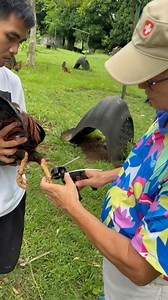 6.6K reactions · 105 shares | Latest Security Banding tamper proof for precious Broodmaterials | Joey Sy | Facebook