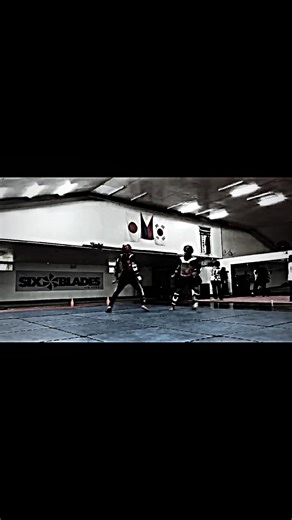 Aggressive Taekwondo Punches and Kicks Demonstrated by Taekwondo Fighter