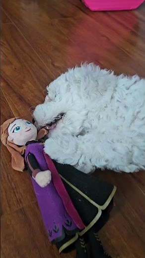 day 7, belly Button playing