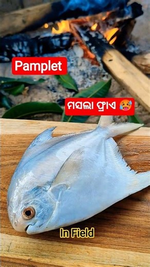Pamplet ମସଲା ଫ୍ରାଏ 🥵 J BEHERA 2 #youtubeshorts #food #cooking