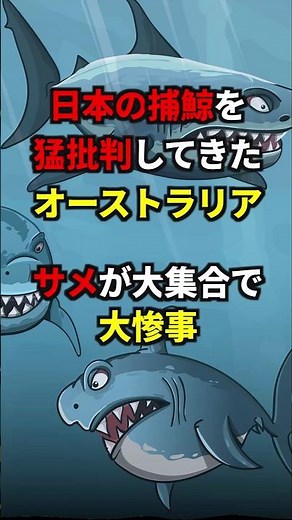 [Bad News] Australia attacked Japan's whaling, but now they're in a disaster with too many sharks...