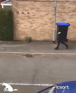 It's just another normal bin day.....🤣 #funnyvideos #bin #rubbishremoval #funny #prank | Smile and laugh, Adults only