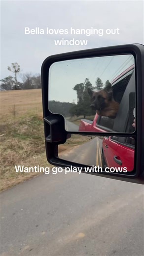 ❌ Shane_west ❌ (@shaneace1121)’s videos with original sound - ❌ Shane_west ❌