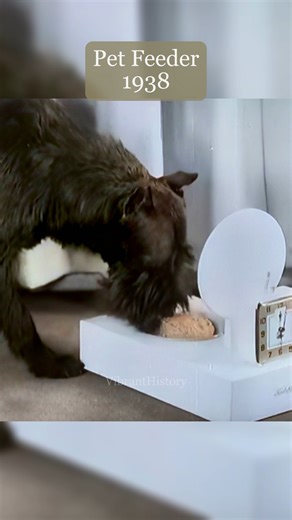 One of the world's first automatic pet feeders! Launching at Bloomingdale's for just $5.59, this clever gadget used a standard alarm clock to trigger the lid. When the clock hit the set time, the bowl popped open, and dinner was served! 🦴✨ #KenlMastr #VintageTech #1930s #DogLovers #AutomaticFeeder | VibrantHistory