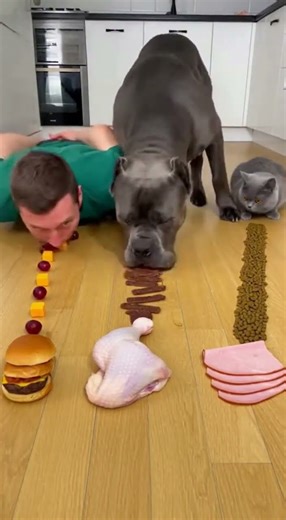 BIG Mistake! Challenged My Dog to a Food Race ​🤣 #shorts #dogs #food #challenge #funny #pets