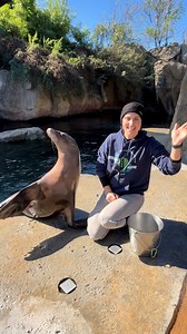 Make this season unforgettable with a custom holiday video message from one of our Zoo stars. From playful sea lions to majestic elephants and charming capybara, choose the animal ambassador to deliver your heartfelt greeting. But don’t wait—this limited-time experience is only available through Dec. 15. Shop our Holiday Gift Guide now: bit.ly/3KZi2mu | Houston Zoo