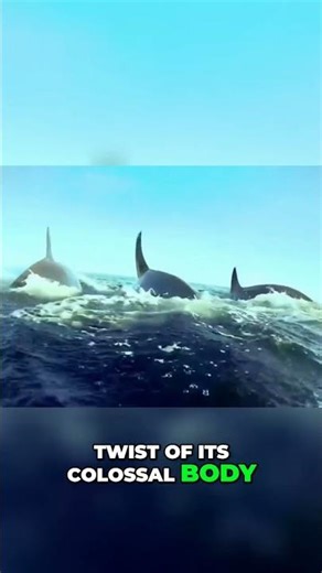 5 Seconds of TERROR...The Orca Attack!!!