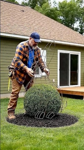 Amazing Topiary Art ✨ Growing A Garden Sculpture #gardening #DIY