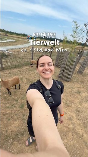 Yes🦘🐐 Animal park highlight in Burgenland! Alpacas, kangaroos
