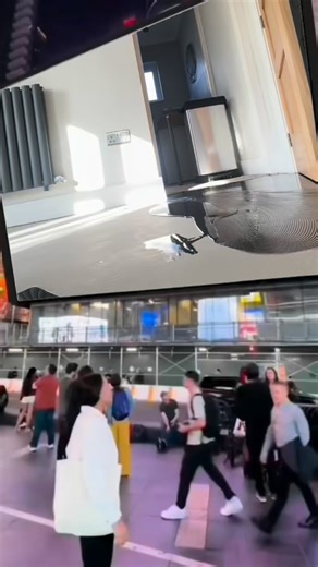 DPM. #woodflooring #flooringideas #vinylflooring...