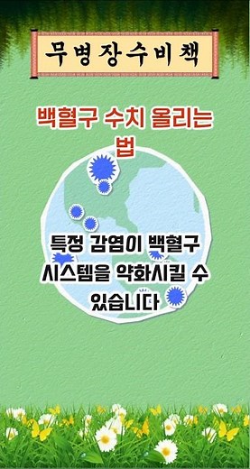 건강한 백혈구수치 올리는 법