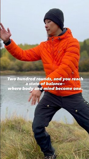 ✅Tai Chi seminar ☯️ learning with master Jian Feng Chen #yinyang #taichi #太极拳 #taijiquan #balance