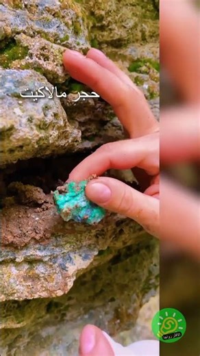 😮 اكتشافات فريدة لهواة التنقيب عن الأحجار الكريمة