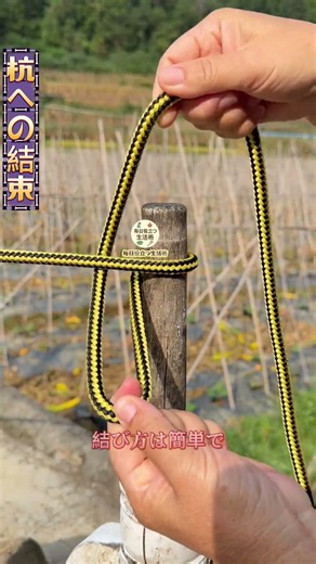 【便利な杭結びの結び方】杭に一回巻いて輪を作り、ロープ端を通して引っ張れば固定 #手作りロープ #暮らし裏技