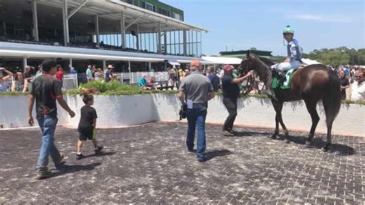 Florida-bred 6-year-old gelding Passage of Lines and jockey Charlie Marquez enter the winner’s circle after the fourth race. Passage of Lines, now 12-for-34 with eight seconds, is owned by Troy Johnson and Jagger, Inc., and trained by Jamie Ness. | Tampa Bay Downs, Inc.
