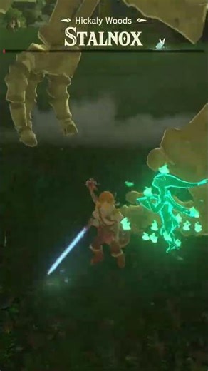 I beat a Stalnox in less than 30sec⚔️ #zelda #nintendo #switch2 #gamer